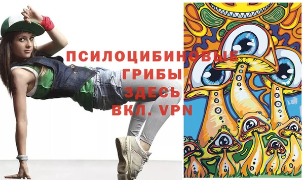 твердый Алексеевка