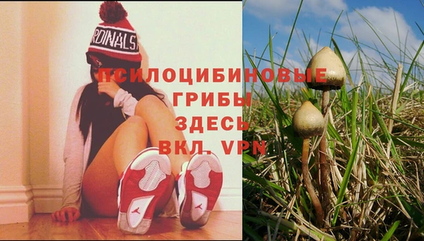 стафф Алексин