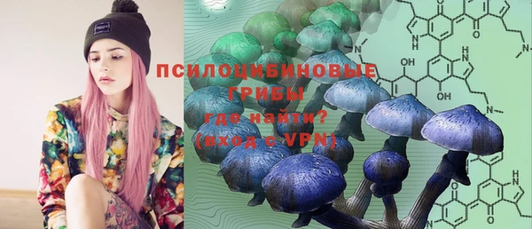 стафф Алексин