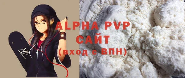 стафф Алексин