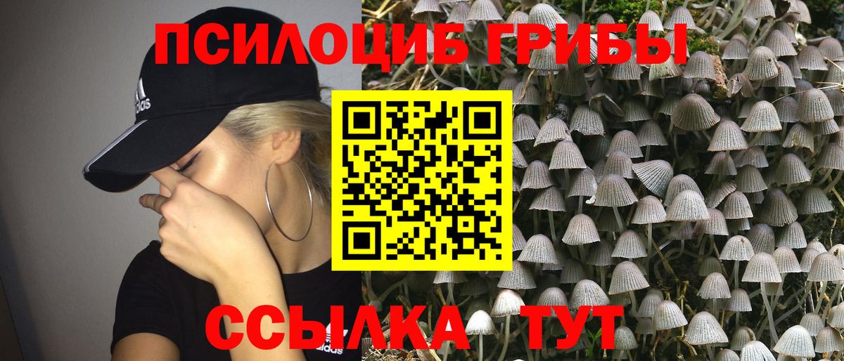 Галлюциногенные грибы GOLDEN TEACHER  Вход с VPN  Камышин  Псилоцибиновые грибы прущие грибы 