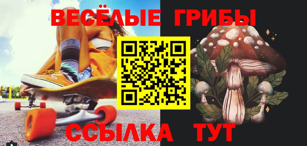 Псилоцибиновые грибы прущие грибы Камышин