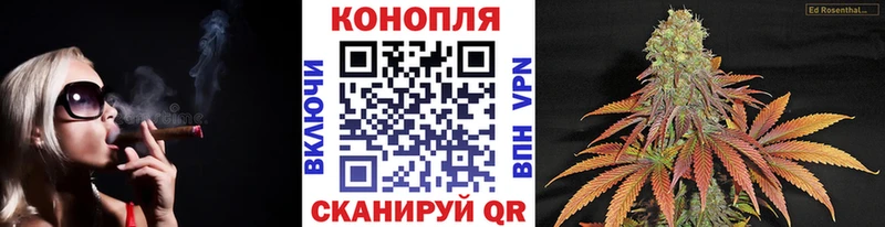 Шишки марихуана AK-47  купить  цена  MEGA как зайти  Камышин 